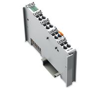 Wago Fieldbus, Decentralized Peripheral - Analog Input And Output Module - 750-530