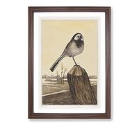 Wagtail Bird by Theo Van Hoytema Framed Print | A2 Walnut Framed Wall Art | Ready to Hang | Modern Nature Picture | Living Room Bedroom Lounge Office
