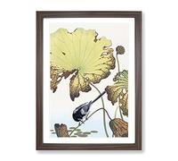 Wagtail Bird On A Lotus Plant By Ohara Koson Asian Japanese Framed Print | A2 Walnut Framed Wall Art | Ready to Hang | Asian Floral Picture | Living Room Bedroom Lounge Office