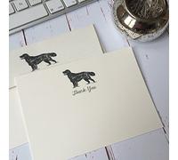 Wagtail Designs Thank You Cards with a Retriever Illustration in a Lovely Black Box with Ribbon (Choose 10 or 20 Cards with Matching envelopes) (20)