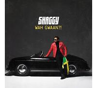 WAH GWAAN?!-SHAGGY