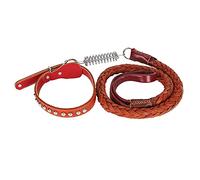 WAHEWUD Leather Dog Collar,Pet Walking Leash Soft Two Layer Artificial Leather Hand WovenLarge Bearing Capacity Two Way Pulling Buffer Spring, Pet Supplies for Large Medium Dogs (Brown)