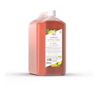 Wahl Copper Tones Shampoo, Dog Shampoo,Natural Pet Friendly Formula, Professional Vegan pet shampoo, For Dogs with Red Coats, Concentrate 15:1, Boosts Pigmentation, 5 Litre