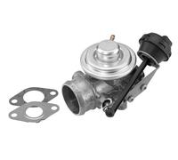 WAHLER 7301D EGR Valve for AUDI,SEAT,VW