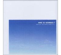 Wai Wan / Bebel Gilberto / Banbarra a.o - Who Is George ?