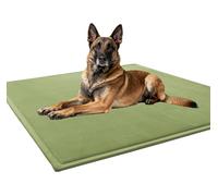 Waigg Kii Washable Dog Bed Mat for Medium/Large Dogs,Ultra Soft Dog Beds Crate Pad,Non-slip Deluxe Kennel Beds Sleeping Mat for Large Jumbo Medium Small Dogs (Green,50 * 80CM)