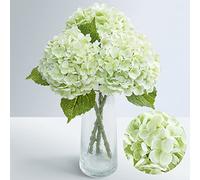 Waipfaru 21" Real Touch Hydrangea Artificial Flowers with Long Stem & Leaves, Full Latex Faux Hydrangea Flowers for Home Decor Party Floral Arrangements Wedding Bouquets Centerpieces, Green 3Pcs