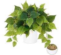 Waipfaru Faux Plants Indoor with Ceramic Pots, Realistic Small Fake Plants, Fake Plants with Pothos, Fake Potted Plants, Artificial Plant for Home Shelf Bathroom Kitchen Office Indoor Outdoor Decor