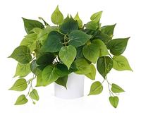 Waipfaru Faux Plants Indoor with Plastic Pots, Realistic Small Fake Plants, Fake Plants with Pothos, Fake Potted Plants, Artificial Plant for Home Shelf Bathroom Kitchen Office Indoor Outdoor Decor