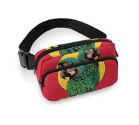 Waist Bag Crossbody Bag with Multiple Pockets with Adjustable Strap Travel Two Red Parrots Printed Chest Bag Fanny Pack for Men Women for Sports, style, 20x13cm, Belt Bag