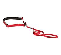 Trixie Neoprene Padded Waist Belt with Leash for Small/Medium Dogs Ocean/Graphite - Small/Medium