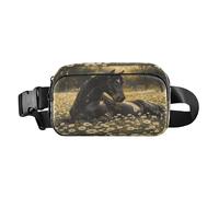 Waist Pack Bag Black Horse Lying in Daisy Flowers Outdoor Fanny Pack Crossbody Bum Bags