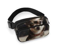 Waist Pack for Women Crossbody Cute ChihuahuaBelt Bag Zipper Pockets Adjustable Strap Waist Wallet Hip Pack for Traveling Cycling Running Hiking, style, 20x13cm