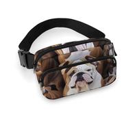 Waist Pack for Women Crossbody English BulldogsBelt Bag Zipper Pockets Adjustable Strap Waist Wallet Hip Pack for Traveling Cycling Running Hiking, style, 20x13cm