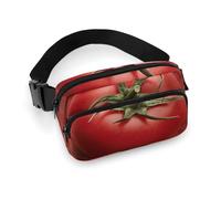 Waist Pack for Women Crossbody Tomatoes on The WallBelt Bag Zipper Pockets Adjustable Strap Waist Wallet Hip Pack for Traveling Cycling Running Hiking, style, 20x13cm