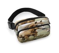Waist Pack Paintings Horses Printed Butt Pack Fanny Pack Hip Bum Bag for Workout Traveling Casual Running Hiking Cycling, Paintings Horses, 7.9 X 5.1 in
