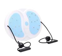 Waist Torsion Disc AB Disc Machine with 18 Magnets, Body Workout Exercise Equipment, Rotary Fitness Equipment, Torsion Sculpture for Trims Arms