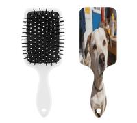 Wait for The Wind to Come. Hairbrush Air Cushion Comb Hair Comb