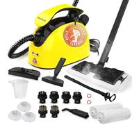 Waitbird Multi-Purpose Steam Cleaner for All Accessories 21 Pieces, Manual Steam Cleaner and Shoulder Strap, for Cleaning Upholstered Furniture, Sofa, Tile, Floor, Window, Car,