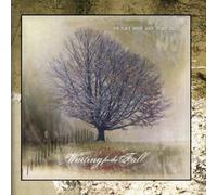 Waiting for the Fall - The Place Where Good Things End