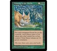 Waiting in the Weeds | Mirage