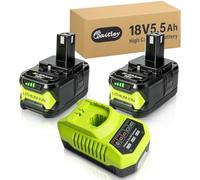 Waitley 2 Pack 18V 5.5Ah P108 Batteries with P117 Charger for Ryobi ONE+