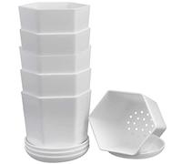 WAIZHIUA 6Pcs 9cm Plastic Flower Pots, Small Hexagon Resin Flower Planter Garden Flower Plant Container with Tray for Succulent Cactus Herb Home Office Balcony Decor