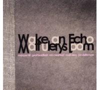 Wake an Echo