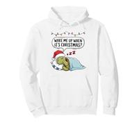 Wake Me Up When It's Christmas Turtle Animal Sleeping Lovers Pullover Hoodie