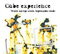 Wake Me Up When September Ends [Vinyl Single] [VINYL]