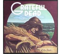 The Grateful Dead : Wake of the Flood VINYL 50th Anniversary 12" Album Picture