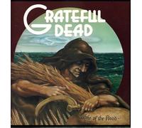 Wake of the Flood [VINYL]
