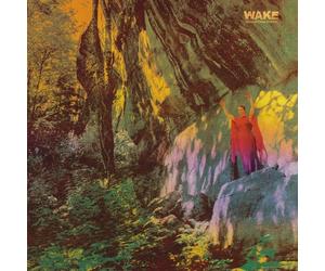 WAKE - THOUGHT FORM DESCENT VINYL LP NEW