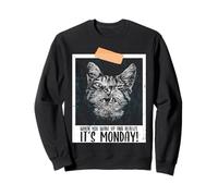 Wake Up and Realize It's Monday Humor Quotes for Cat Lovers Sweatshirt