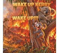 Wake Up Kerry: WAKE UP!!! (NarriYarns)