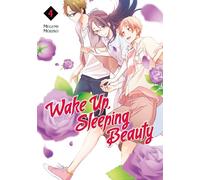Wake Up, Sleeping Beauty 4 (WAKE UP SLEEPING BEAUTY GN)