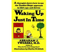 Waking up Just in Time: A Therapist Shows How to Use the Twelve Steps Approach to Life's Ups and Downs