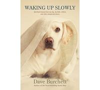 Waking Up Slowly: Spiritual Lessons from My Dog, My Kids, Critters, and Other Unexpected Places