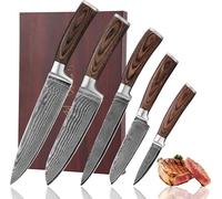Wakoli EDIB 5-Piece Professional Damascus Kitchen Knife Set - 67 Layers of Genuine Damascus Steel with VG-10 Core | Chef’s Knife Set with Ergonomic Pakkawood Handles in Wooden Gift Box