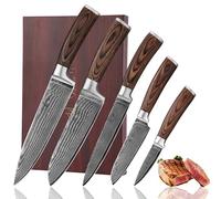 Wakoli EDIB 5-Piece Professional Damascus Kitchen Knife Set - Made from 67 Layers of Genuine Damascus Steel with VG-10 Core | Chef’s Knife Set with Ergonomic Pakkawood Handles in a Wooden Box