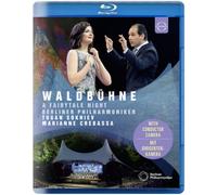 Waldbühne: 2019 - Midsummer Night Dreams