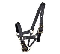 Mackey Black Halter for Alpacas - Medium