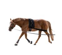 WALDHAUSEN Body Bandage - Activation of the Hindquarters Black VB/WB