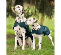 Waldhausen Dog Waterproof Dog Raincoat Green - 60cm