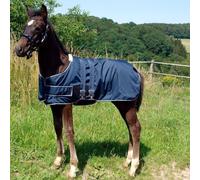 Waldhausen Foal Turnout Rug - One Size