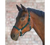 Waldhausen Gloomy Halter Fir Green - Full