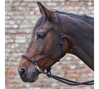 Knotted Halter with Reins Black - Pony