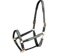 WALDHAUSEN Leather halter X-Line Oxford, black/green, WB