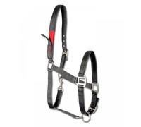 Waldhausen Safety Halter - Black | Equestrian | Headcollar | Pony | Horse