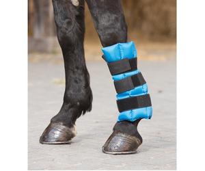 Waldhausen Tendon Cooling Boot for Horses - Cob